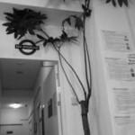 Tree in lodge (Singapour)