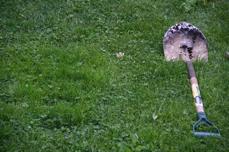 L'été arrive... L'été arrive...