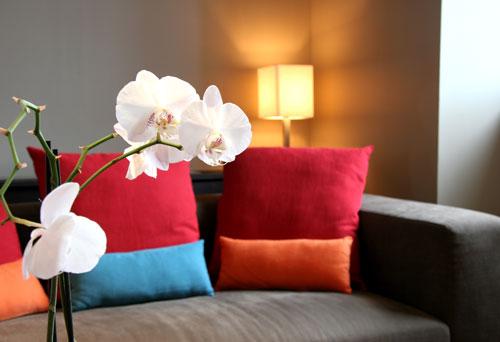 coussin-salon-Hotel-du-fronton-france-aquitaine-hoosta-magazine-paris coussin-salon-Hotel-du-fronton-france-aquitaine-hoosta-magazine-paris