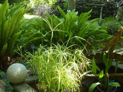 Cette fois-ci, la pluie aura permis de nourrir la terre e... Cette fois-ci, la pluie aura permis de nourrir la terre e...