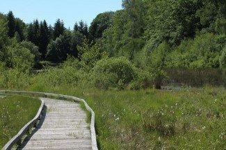 Étang de la Comtesse Etang-partie amont