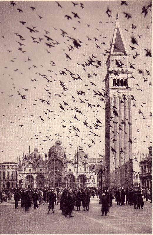 Les pigeons de la place Saint-Marc vers 1930