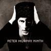 Peter Murphy