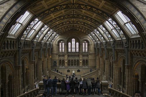 Natural History Museum - London Natural History Museum - London