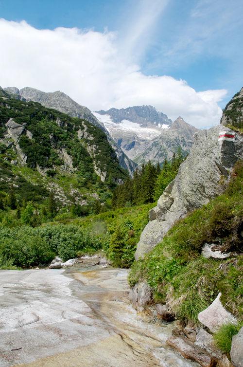 Cerises façon pain d'épice DSC_6189