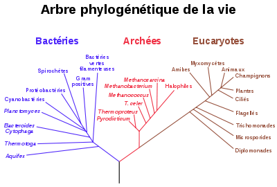 Juste pour parler… Juste pour parler…