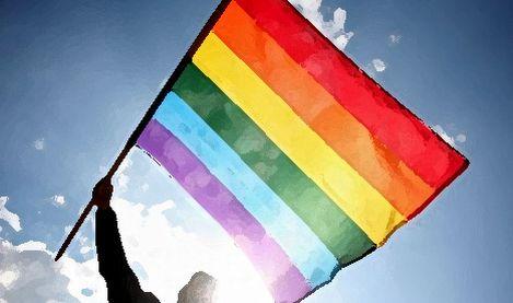 http://static.mcetv.fr/img/2011/06/homosexuels-drapeau.jpg