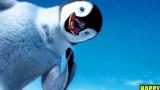 [E3 11] Happy Feet 2 : les pingouins dansent