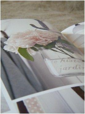 ENCHANTEMENT ...
Poser délicatement le 'Présent' A... DSCF6377