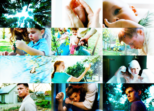 1) Je ne m’attendais pas à voir des dinosaures dans ce... 1) Je ne m’attendais pas à voir des dinosaures dans ce...