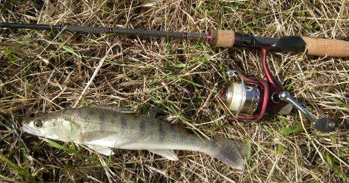 Un p'tit sandre et puis s'en va (11/06/2011) 11-06-2011.jpg