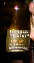 Le_grain_de_S_nev_