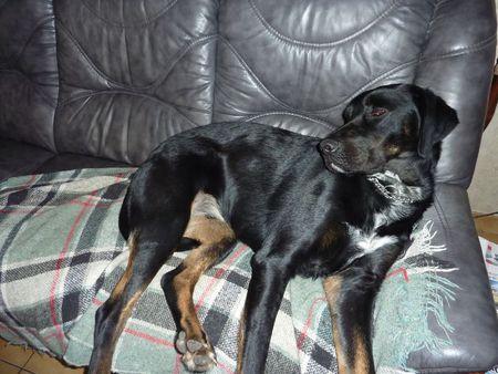 Et encore mon tapis !!! P1090914