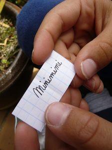 Fraises... (résultat inside) P1080355