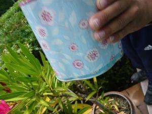 Fraises... (résultat inside) P1080349