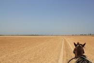 En Le Sine Saloum, un air de bout du monde