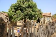Une habitation à Mar Lodj - Sine Saloum Une habitation à Mar Lodj - Sine Saloum
