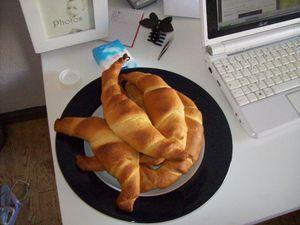 Croissants en boîte 100_8258