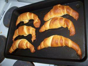 Croissants en boîte 100_8257