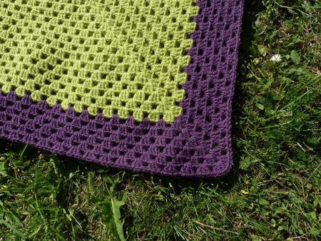 Poncho vert sur gazon P1060075