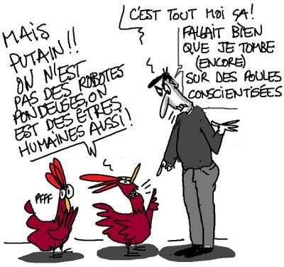 Rien de n'oeuf sous le soleil... Rien de n'oeuf sous le soleil...