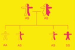 Journée mondiale contre la DRÉPANOCYTOSE: Pour lutter, faites-vous dépister – OILD Journée mondiale contre la DRÉPANOCYTOSE: Pour lutter, faites-vous dépister – OILD