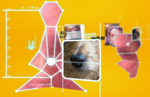 Pedigree et la reconnaissance faciale