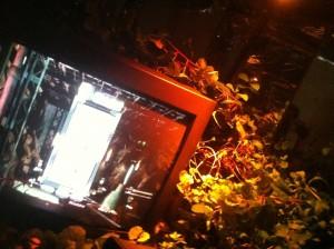 dans ma bulle La magie des rencontres IRL (in real life)