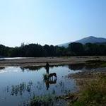 Le boulou : Zap prête à avaler toute l'eau de la rivière ? P1070286.JPG