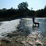 Le boulou : gzie et zap font trempette P1070292.JPG