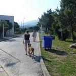 Le boulou : Vers le petit sentier de randonnées, prendre à droite après les poubelles.... ;o) P1070275.JPG