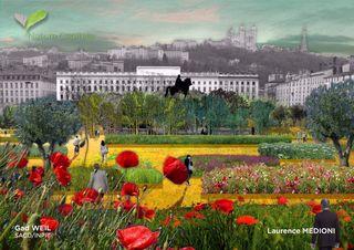 Lyon_nature Lyon_nature