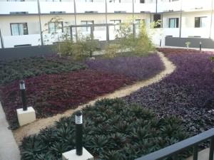 B. Corréa: « Des jardins en osmose avec la nature et l’écologie »