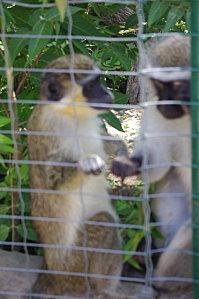 Crie ta liberté IMGP5418.jpg