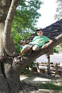 Crie ta liberté IMGP5396.jpg