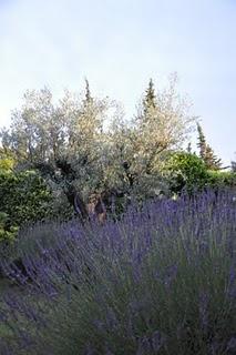 Histoire d'oiseaux Histoire d'oiseaux