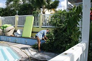 ménage à Tival fruit et jardin 015