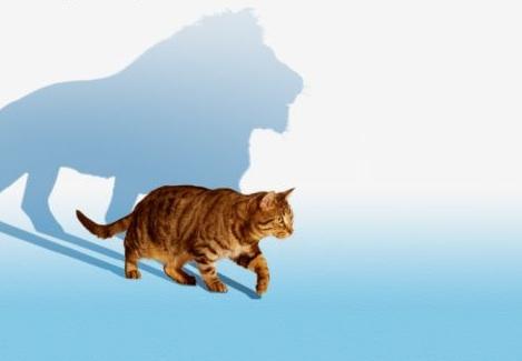 Paradoxe Le mot de la semaine : PARADOXE