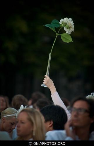 Dîner en blanc 2011. Esplanade Notre-Dame. Paris diner-en-blanc-paris-008