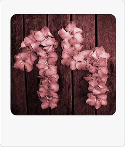 True Colors : Q comme ... Quatorze IMGP9511---Copie--2----Copie.JPG