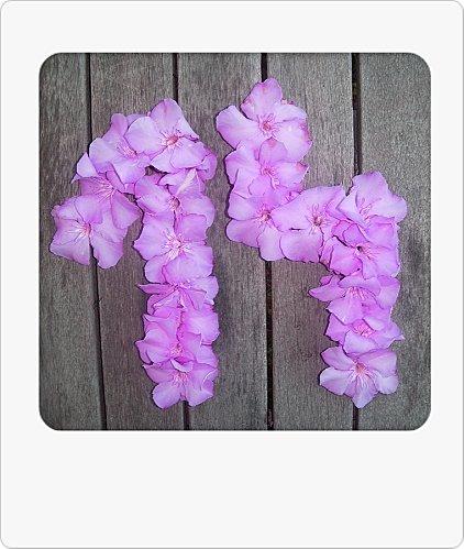 True Colors : Q comme ... Quatorze QUATORZE (4)