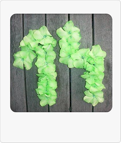 True Colors : Q comme ... Quatorze QUATORZE (5)