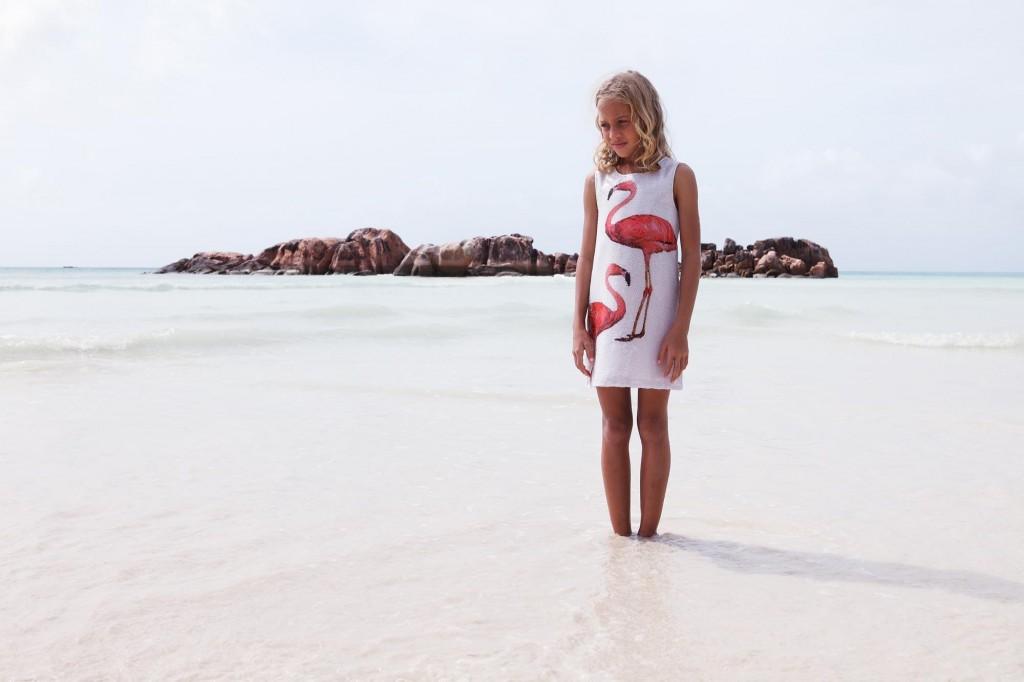 IMG_1650 JE VEUX UNE ROBE !