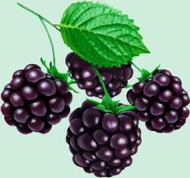 Une mignardise.....fraises tx6wp0sh.gif