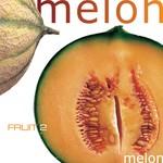 melon_cover_300_dpi