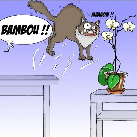Bambou_cascade5