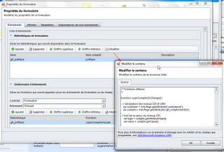 CRM 2011 - avec les ressources web, c'est plus facile