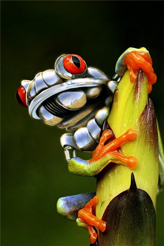 Source de valeur ajoutée n°5 - vos clients, vos partenaires, vos employés ! Robofrog.egg by meowza on Aviary