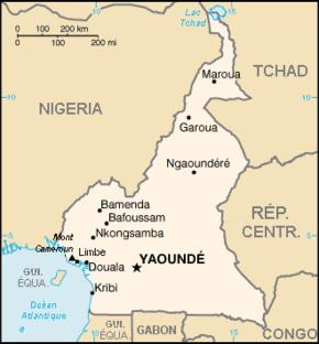 Cameroun – Election présidentielle 2011: polémiques, conséquences et inconséquences.