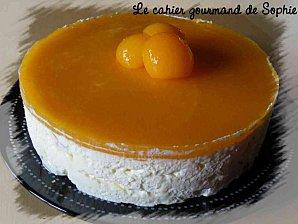 Entremet express : mousse citron mascarpone ; miroir abricot entremet-citron-abricot-190611.jpg